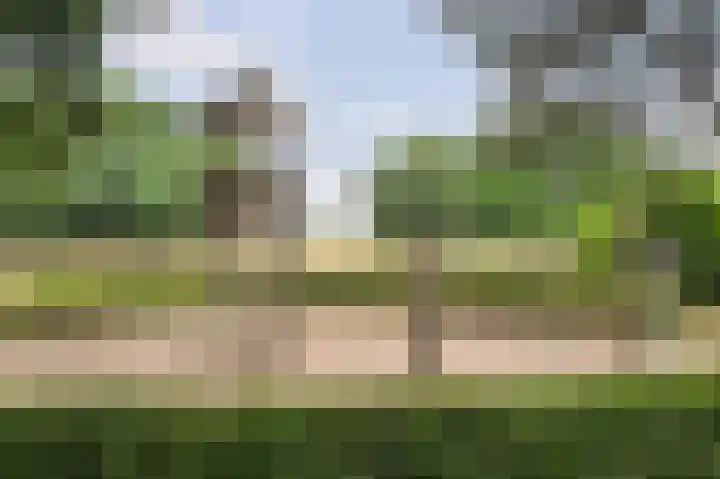 Lange Heul 778 Bussum thumbnail 34