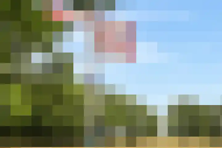 Lange Heul 778 Bussum thumbnail 35