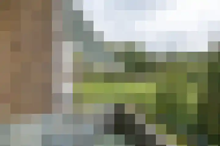 Lange Heul 792 Bussum thumbnail 19