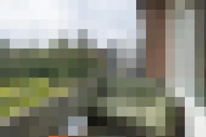Lange Heul 792 Bussum thumbnail 20