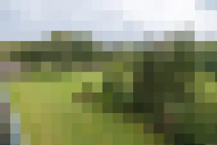 Lange Heul 792 Bussum thumbnail 21