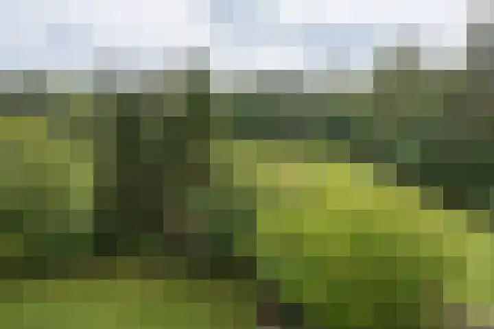 Lange Heul 792 Bussum thumbnail 22