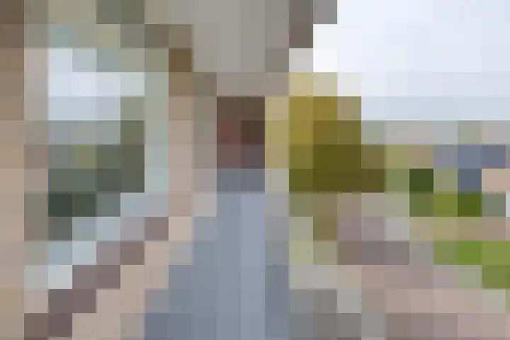 Lange Heul 792 Bussum thumbnail 29