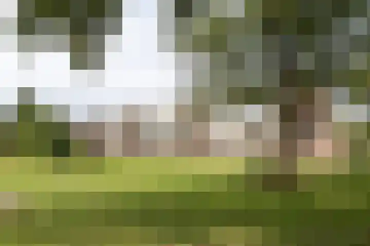 Lange Heul 792 Bussum thumbnail 32