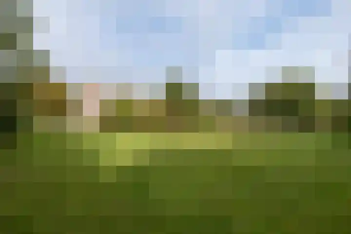 Lange Heul 792 Bussum thumbnail 33
