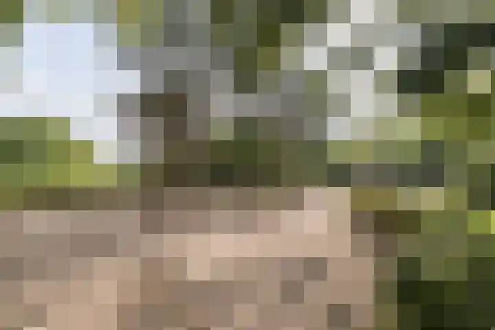 Lange Heul 792 Bussum thumbnail 34