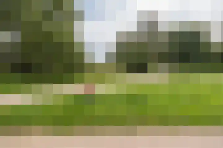 Lange Heul 792 Bussum thumbnail 35