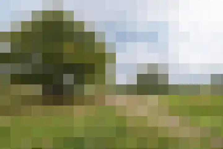Lange Heul 792 Bussum thumbnail 36