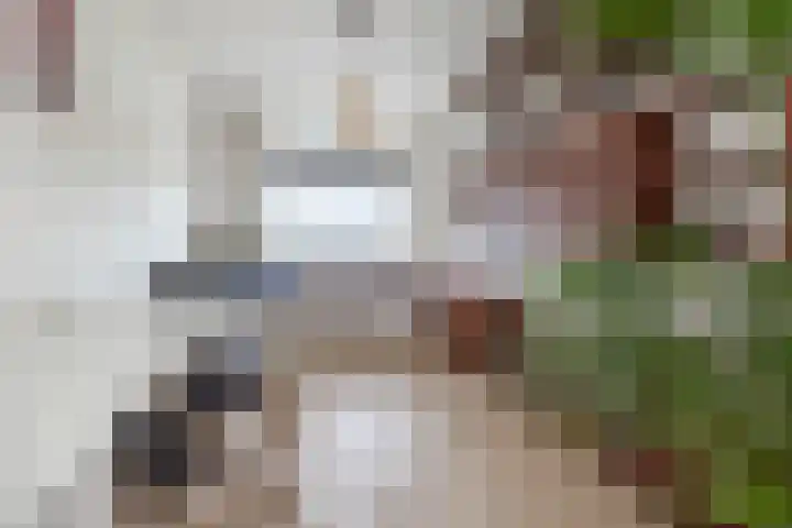 Lange Heul 792 Bussum thumbnail 7