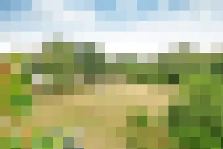 Lange Heul 796 Bussum thumbnail 12