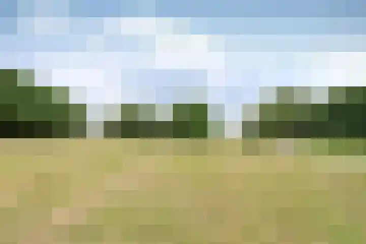 Lange Heul 796 Bussum thumbnail 13
