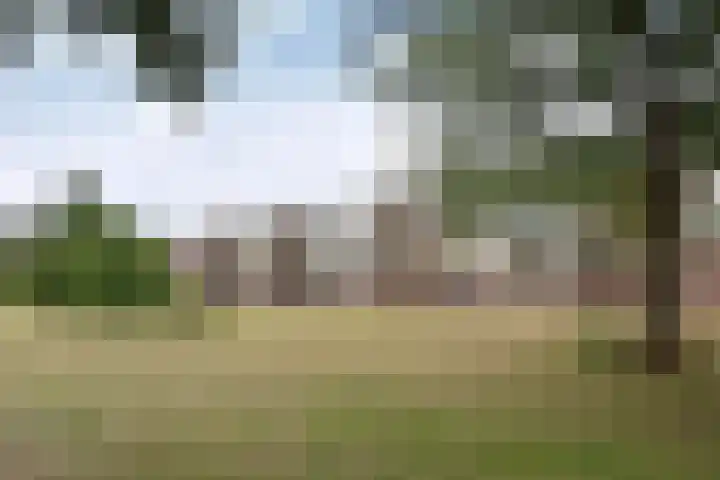 Lange Heul 796 Bussum thumbnail 16