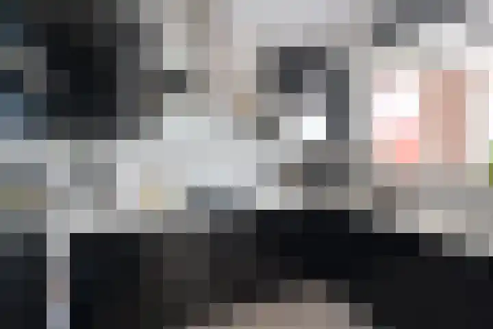 Lange Heul 796 Bussum thumbnail 9