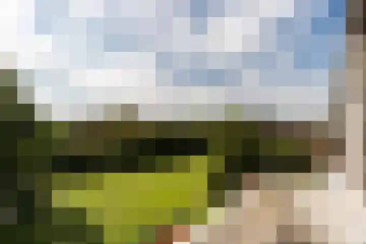 Lange Heul 802 Bussum thumbnail 15