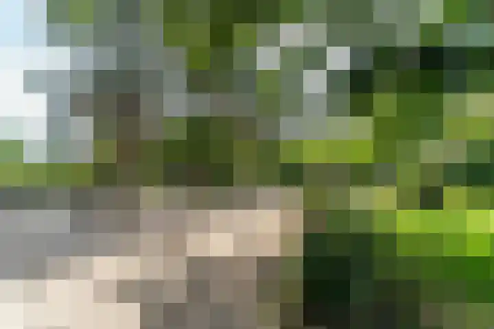 Lange Heul 802 Bussum thumbnail 26