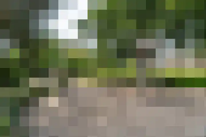 Lange Heul 802 Bussum thumbnail 27