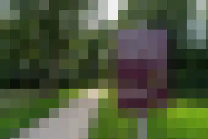 Lange Heul 802 Bussum thumbnail 29