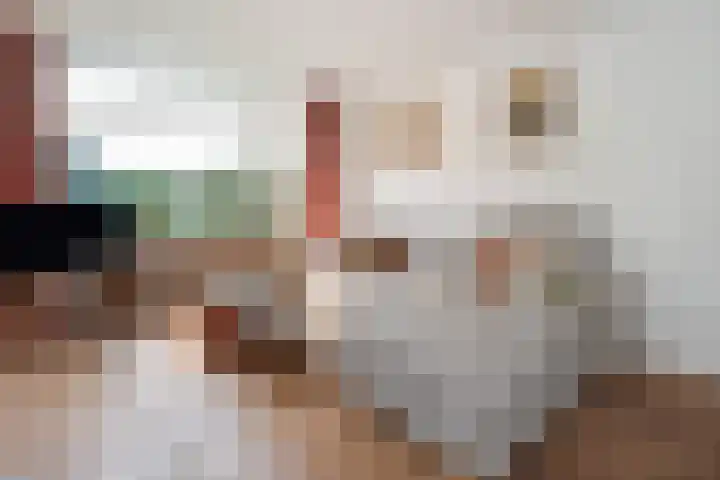 Lange Heul 802 Bussum thumbnail 5