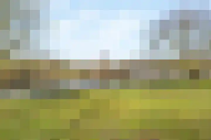 Lange Heul 91 Bussum thumbnail 29