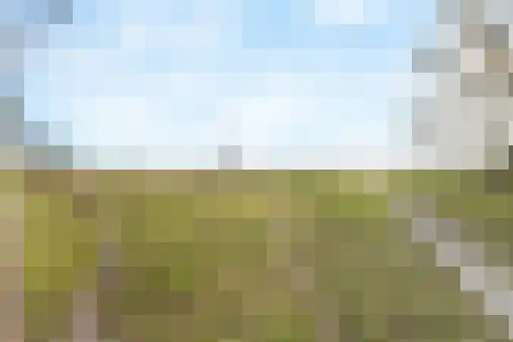 Lange Heul 91 Bussum thumbnail 31