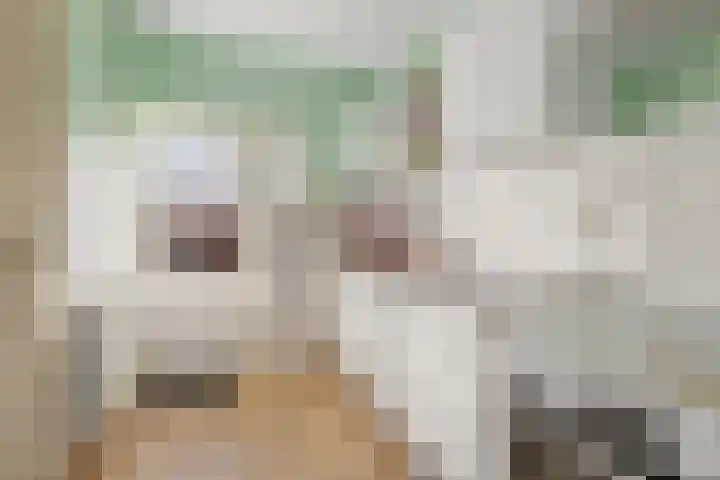 Lange Heul 91 Bussum thumbnail 9