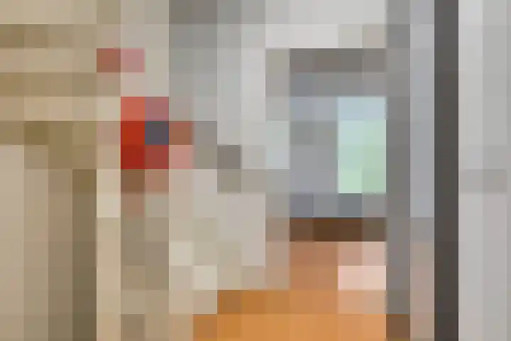 Lange Hezelstraat 8 Nijmegen thumbnail 12