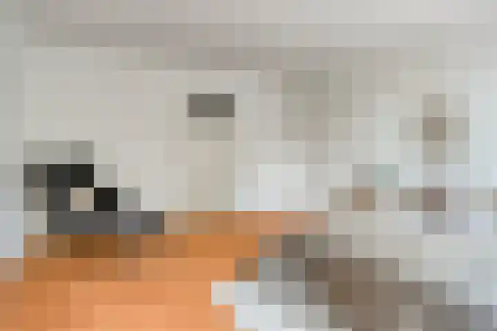Lange Hezelstraat 8 Nijmegen thumbnail 15