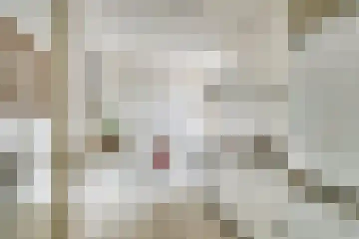 Lange Hezelstraat 8 Nijmegen thumbnail 6