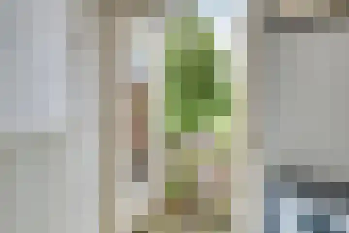 Lange Hezelstraat 8 Nijmegen thumbnail 8