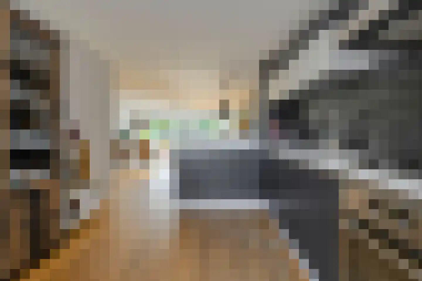 Lange Hil 74 Breda thumbnail 18