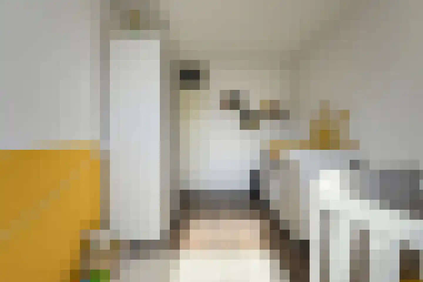 Lange Hil 74 Breda thumbnail 35