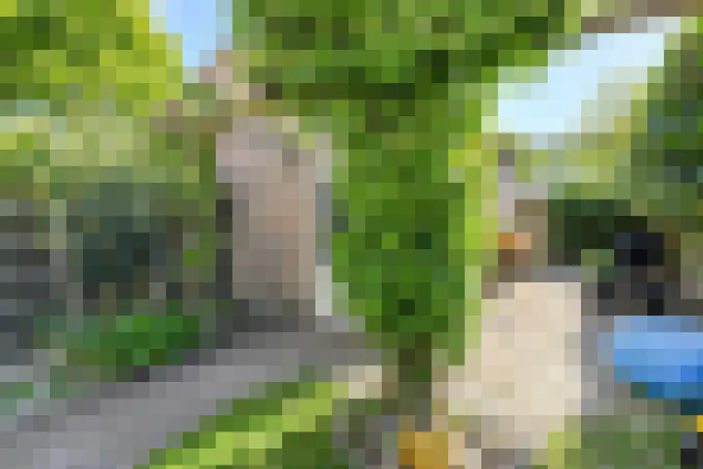 Lange Hil 74 Breda thumbnail 48