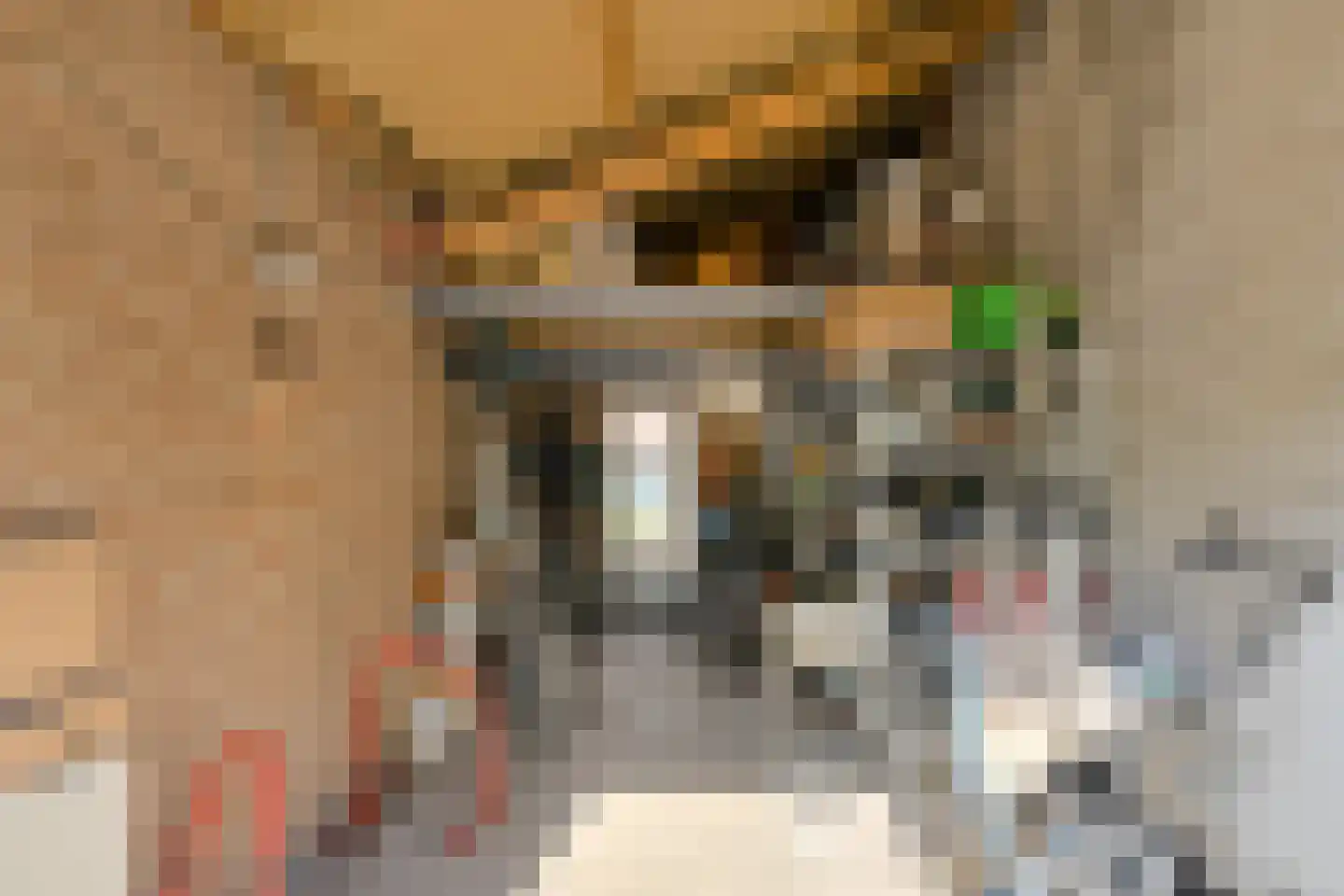 Lange Hil 74 Breda thumbnail 55
