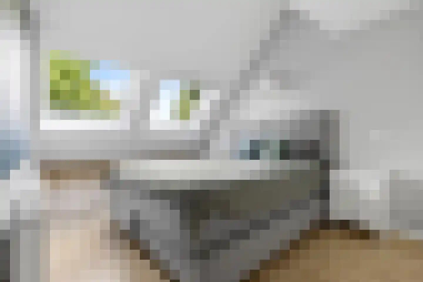 Lange Hille 1 Oud-Beijerland thumbnail 18