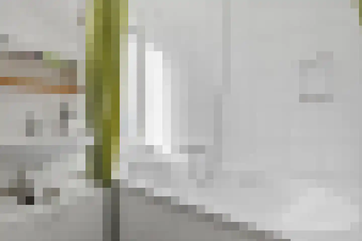Lange Hille 1 Oud-Beijerland thumbnail 24