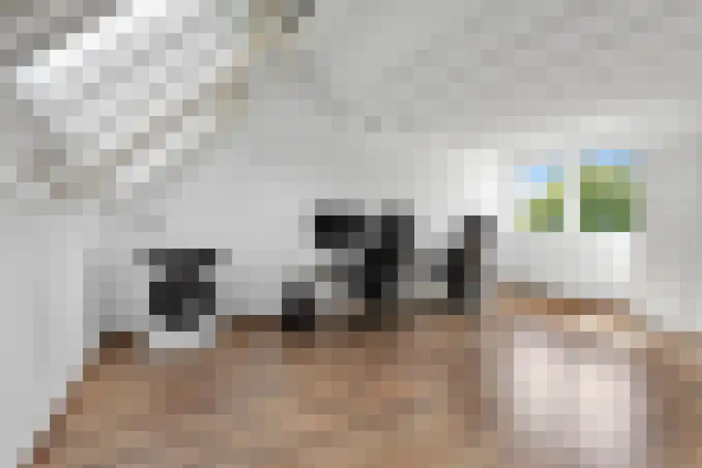 Lange Hille 1 Oud-Beijerland thumbnail 26