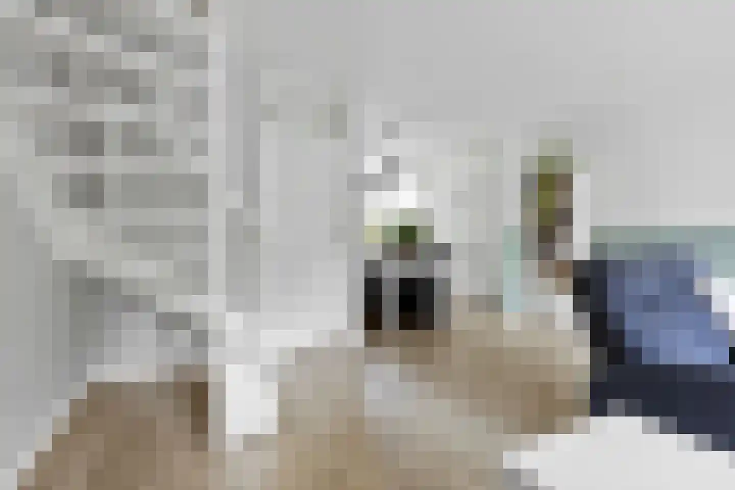 Lange Hille 1 Oud-Beijerland thumbnail 6