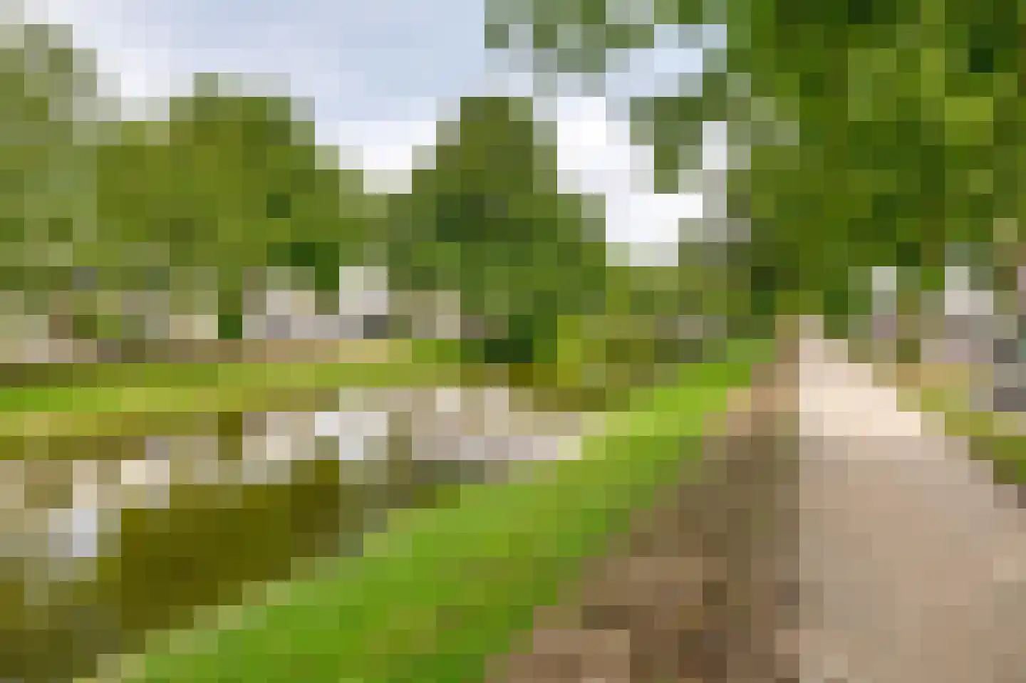 Lange Hilleweg 178 A Rotterdam thumbnail 31