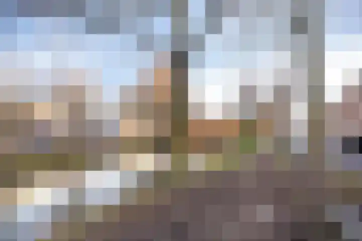 Lange Hilleweg 186 A Rotterdam thumbnail 26