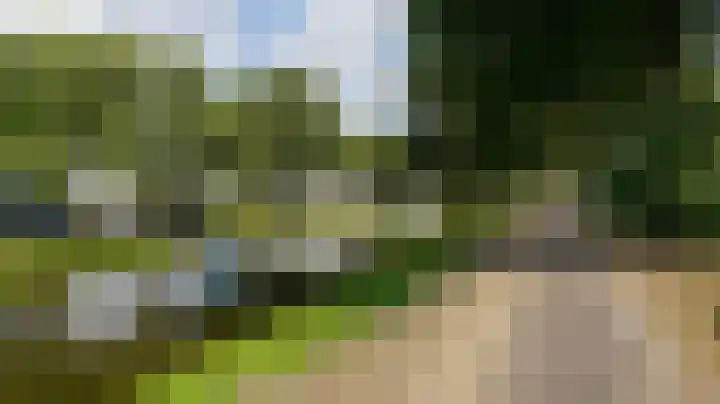 Lange Hilleweg 200 B 02 Rotterdam thumbnail 27