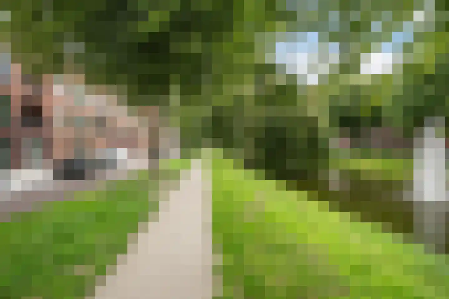 Lange Hilleweg 21 A Rotterdam thumbnail 25