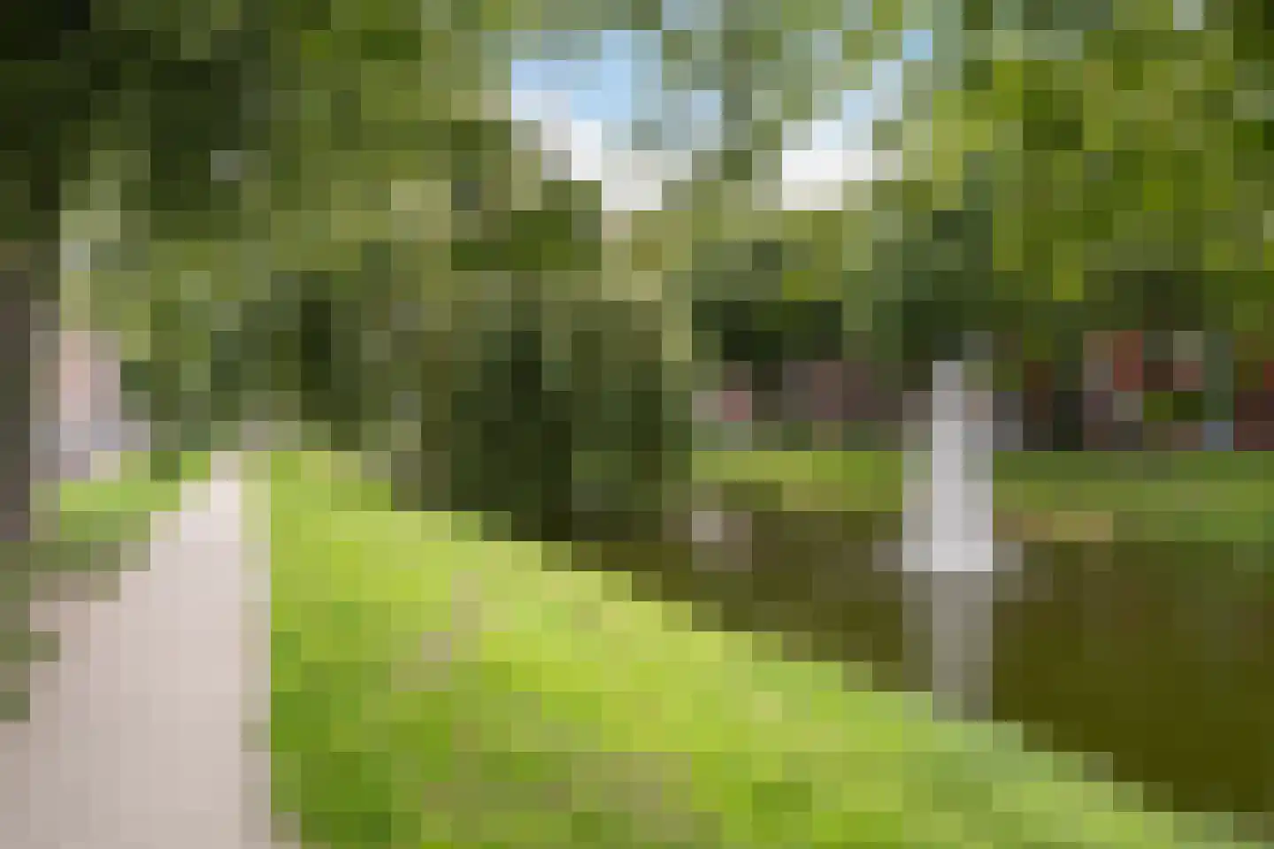 Lange Hilleweg 21 A Rotterdam thumbnail 26