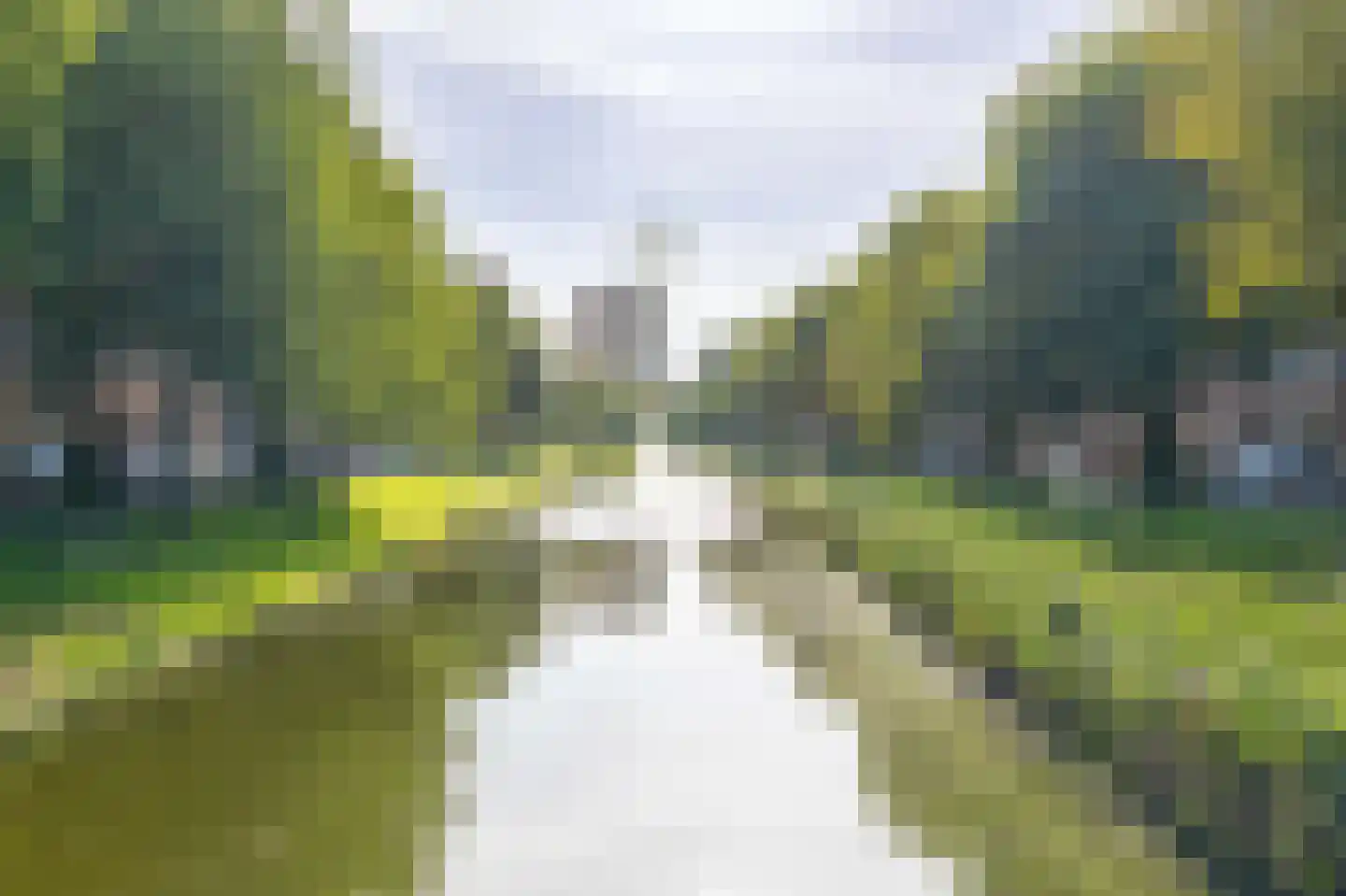 Lange Hilleweg 218 A 02 Rotterdam thumbnail 32