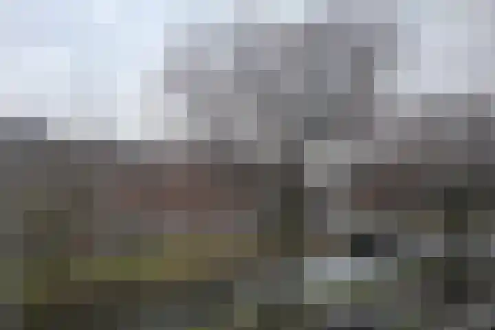 Lange Hilleweg 240 A Rotterdam thumbnail 14