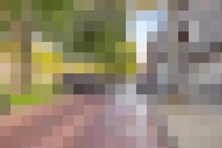 Lange Hilleweg 316 Rotterdam thumbnail 22