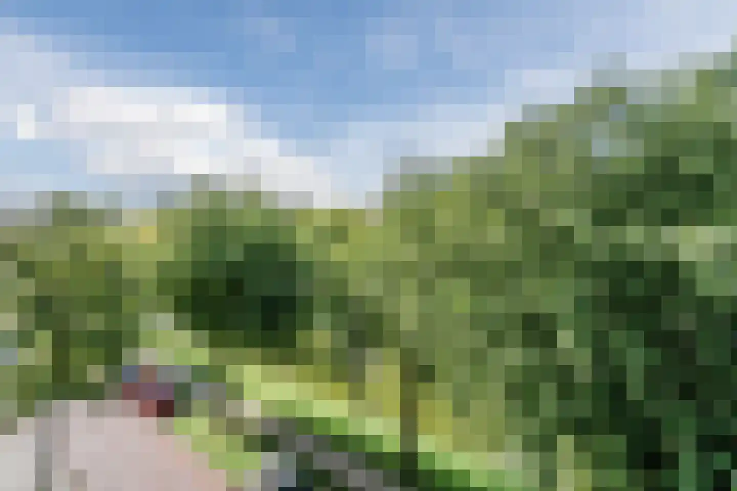 Lange Hilleweg 322 Rotterdam thumbnail 4