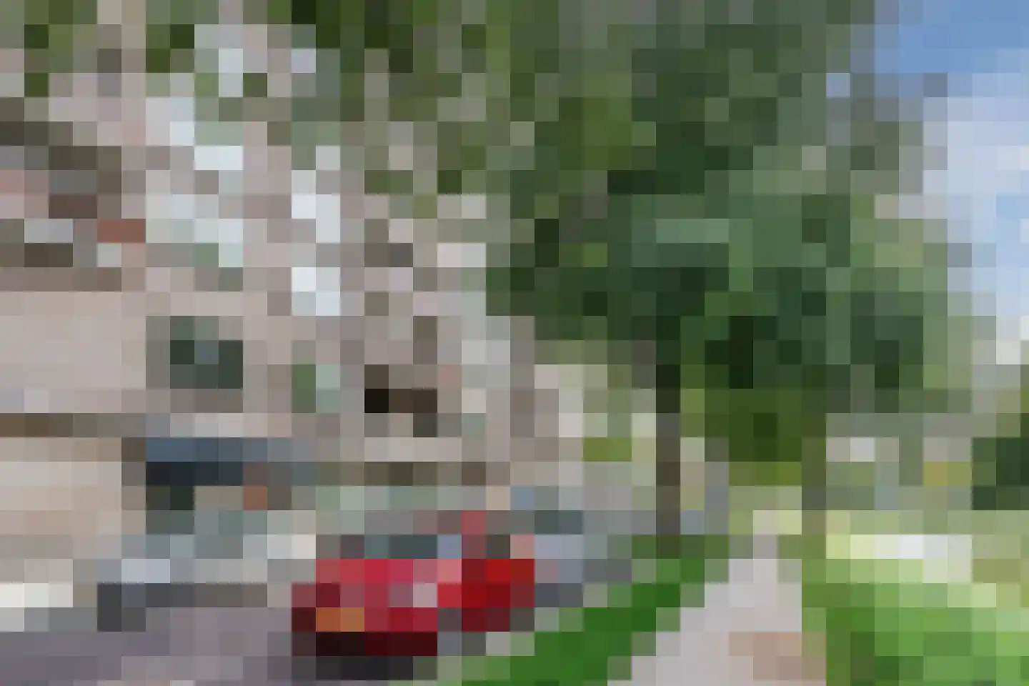 Lange Hilleweg 322 Rotterdam thumbnail 6