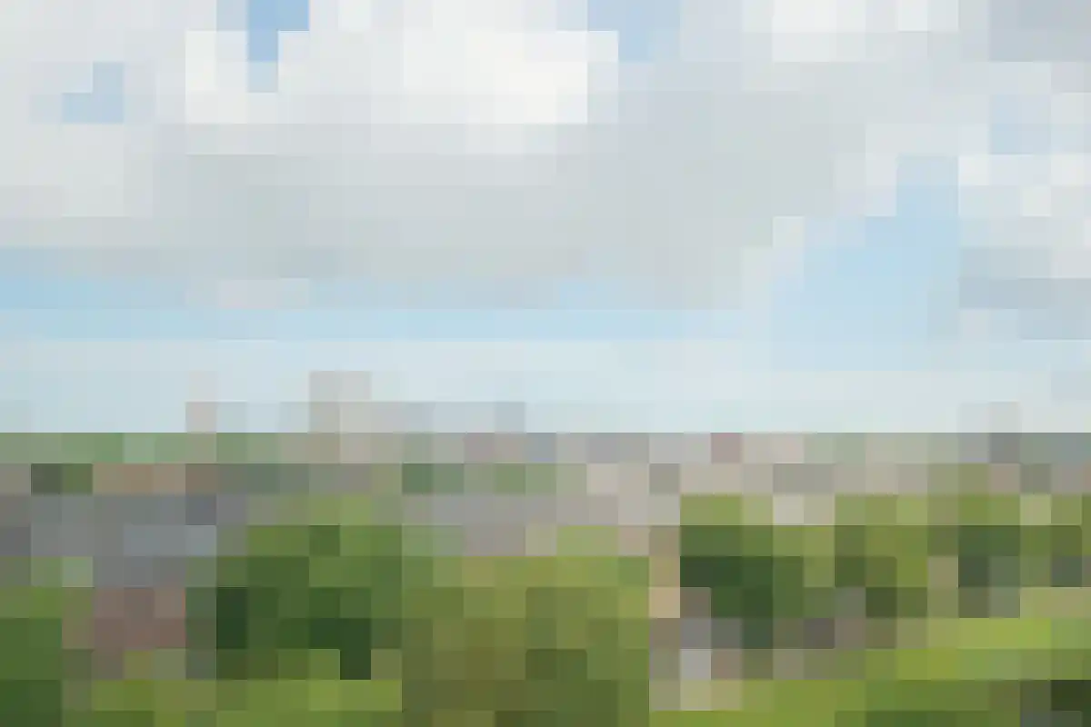 Lange Hilleweg 370 Rotterdam thumbnail 6