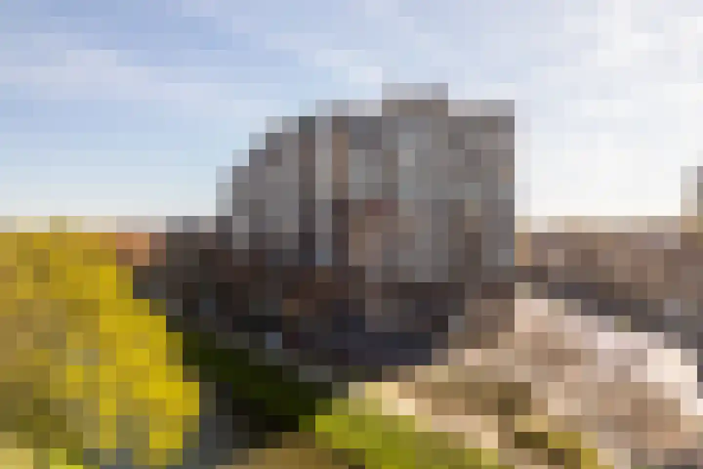 Lange Hilleweg 454 Rotterdam thumbnail 5