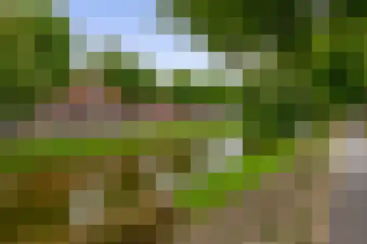 Lange Hilleweg 67 B Rotterdam thumbnail 4